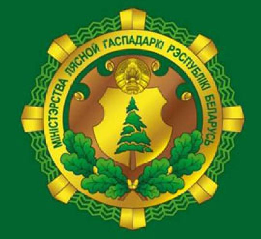 Президент согласовал назначения руководителей Министерства лесного хозяйства
