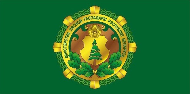 Конкурс кандидатов в перспективный кадровый резерв Министерства лесного хозяйства Республики Беларусь