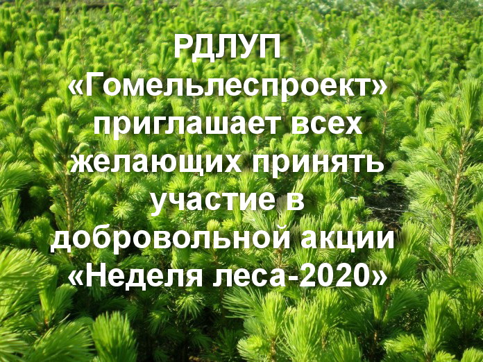 Добровольная акция «Неделя леса-2020»