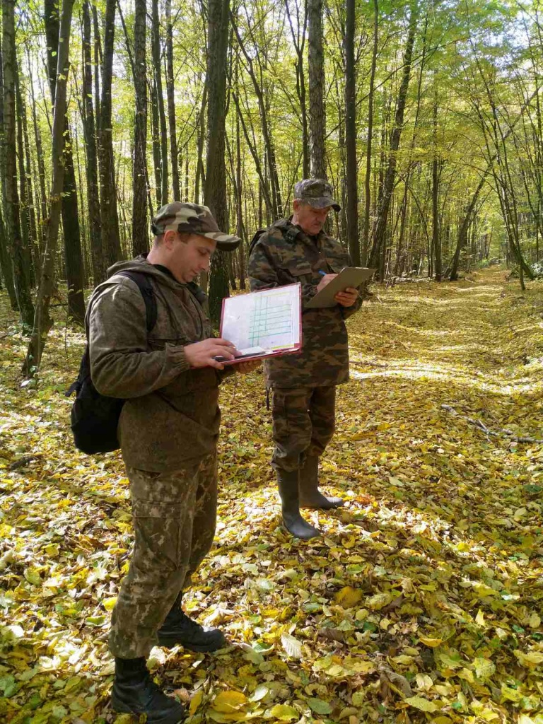 Проверка качества выполнения полевых (лесоинвентаризационных) лесоустроительных работ