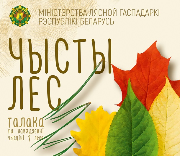 Акция "Чистый лес" пройдет в Беларуси 17 октября