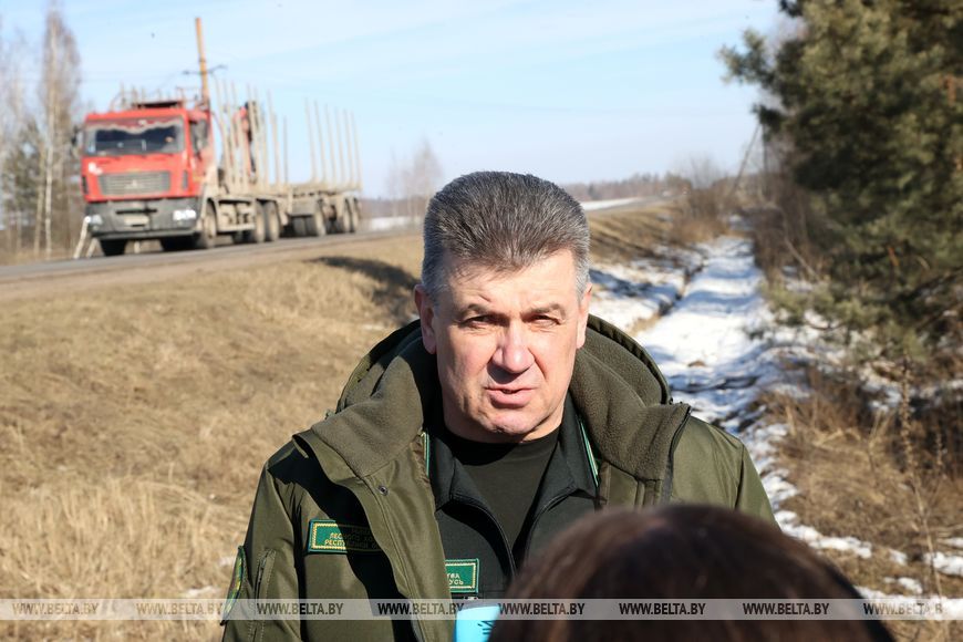 Завершить разработку ветроломов и восстановить лес после июльского урагана. Сроки и объемы обсудили в Жлобине