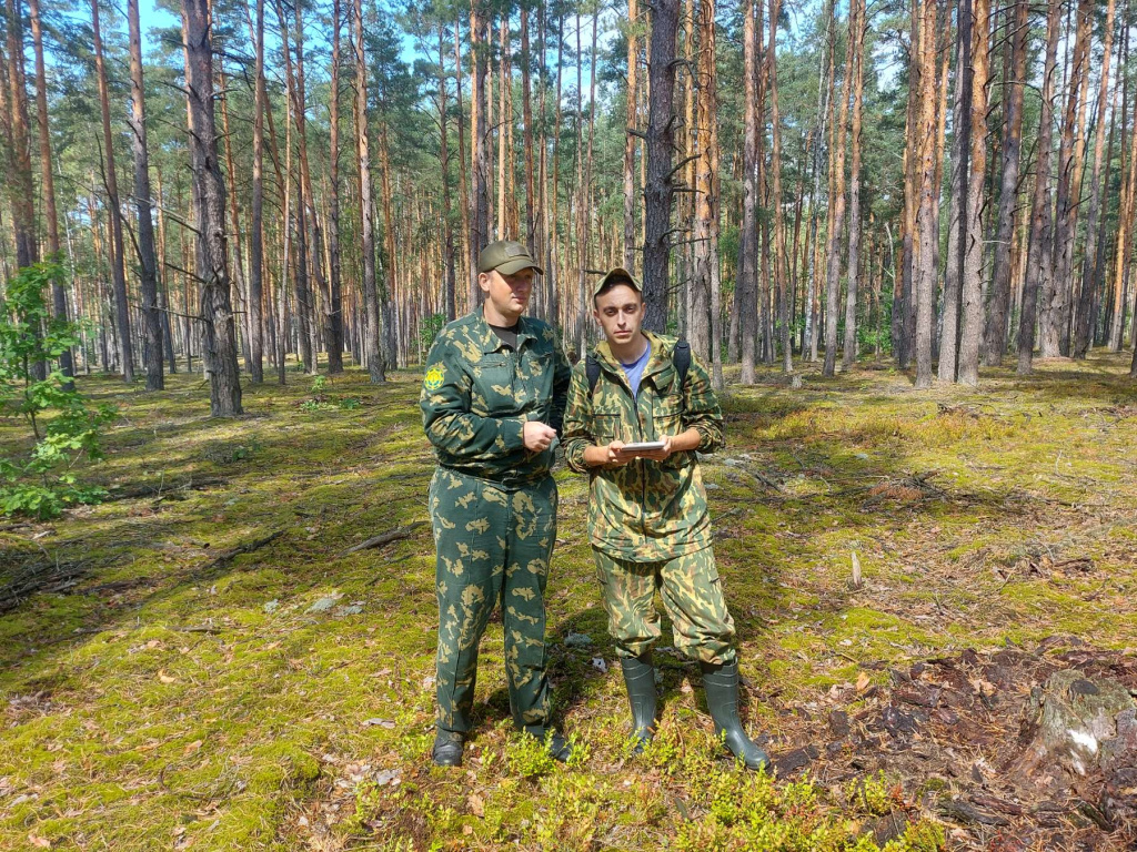 ПРОВЕРКА КАЧЕСТВА ВЫПОЛНЕНИЯ ПОЛЕВЫХ (ЛЕСОИНВЕНТАРИЗАЦИОННЫХ) ЛЕСОУСТРОИТЕЛЬНЫХ РАБОТ