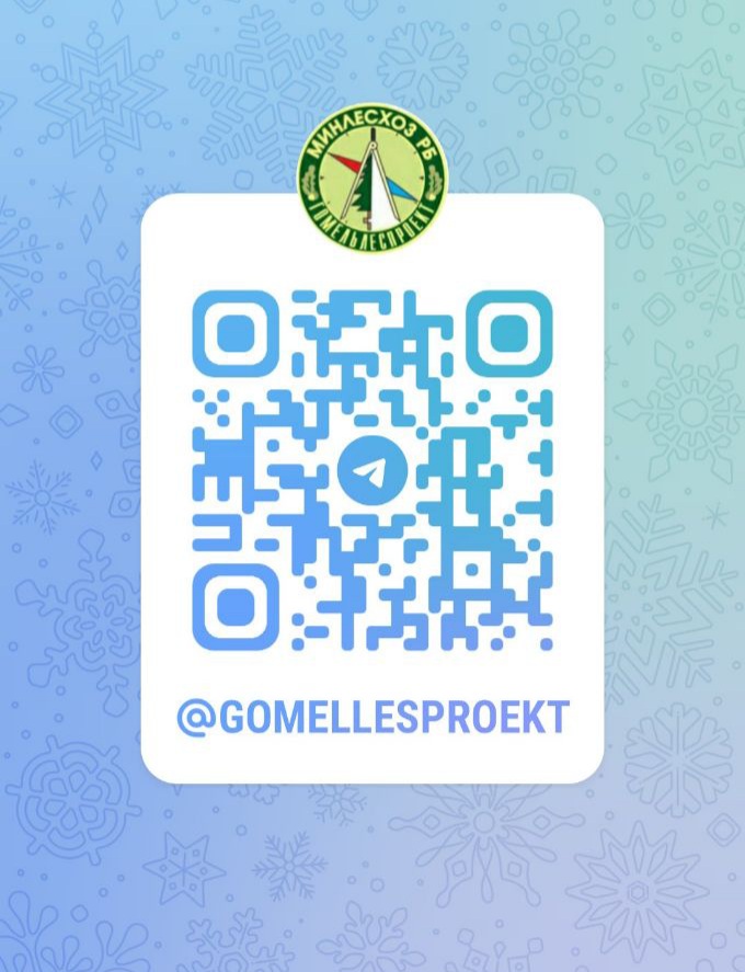 ТЕПЕРЬ МЫ В TELEGRAM!