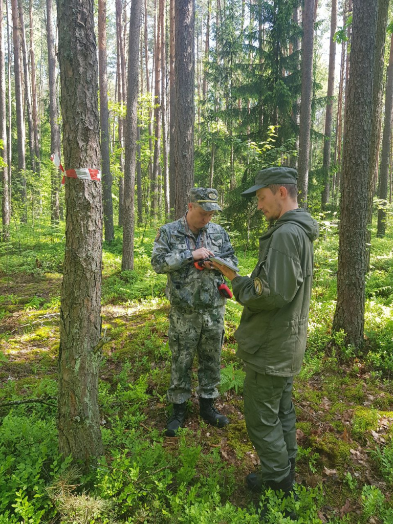 ПРОВЕРКА КАЧЕСТВА ВЫПОЛНЕНИЯ ПОЛЕВЫХ (ЛЕСОИНВЕНТАРИЗАЦИОННЫХ) ЛЕСОУСТРОИТЕЛЬНЫХ РАБОТ