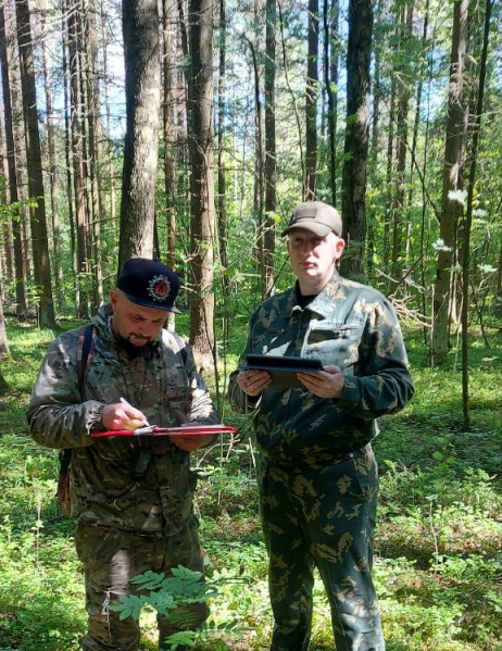 ПРОДОЛЖАЕТСЯ КОНТРОЛЬ КАЧЕСТВА ПОЛЕВЫХ ЛЕСОУСТРОИТЕЛЬНЫХ РАБОТ