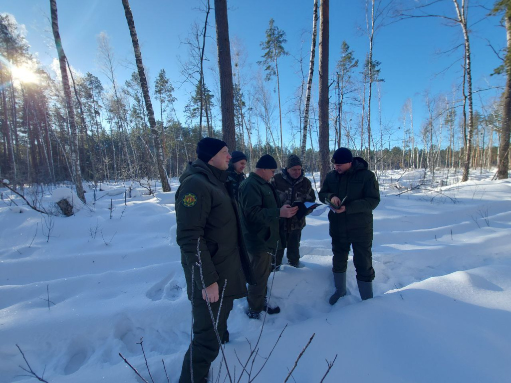 Дополнительное обследование труднодоступных участков