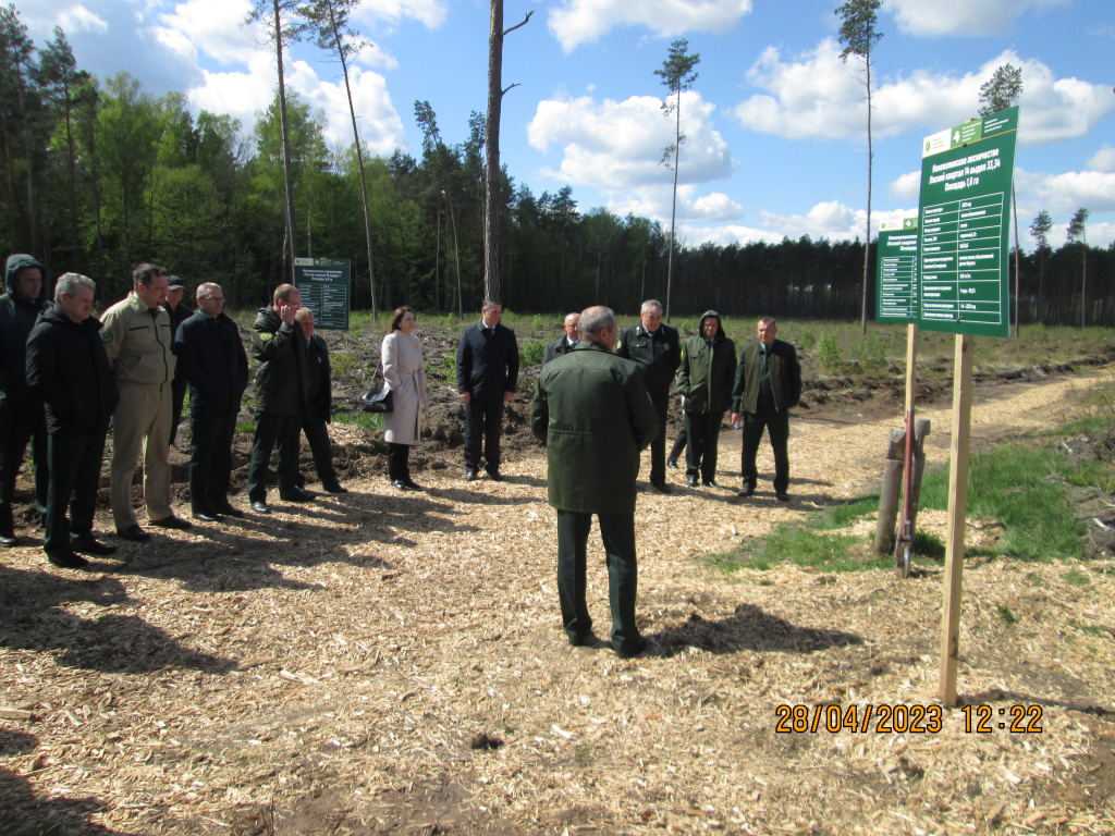 О проведении выездного заседания коллегии Министерства лесного хозяйства Республики Беларусь 