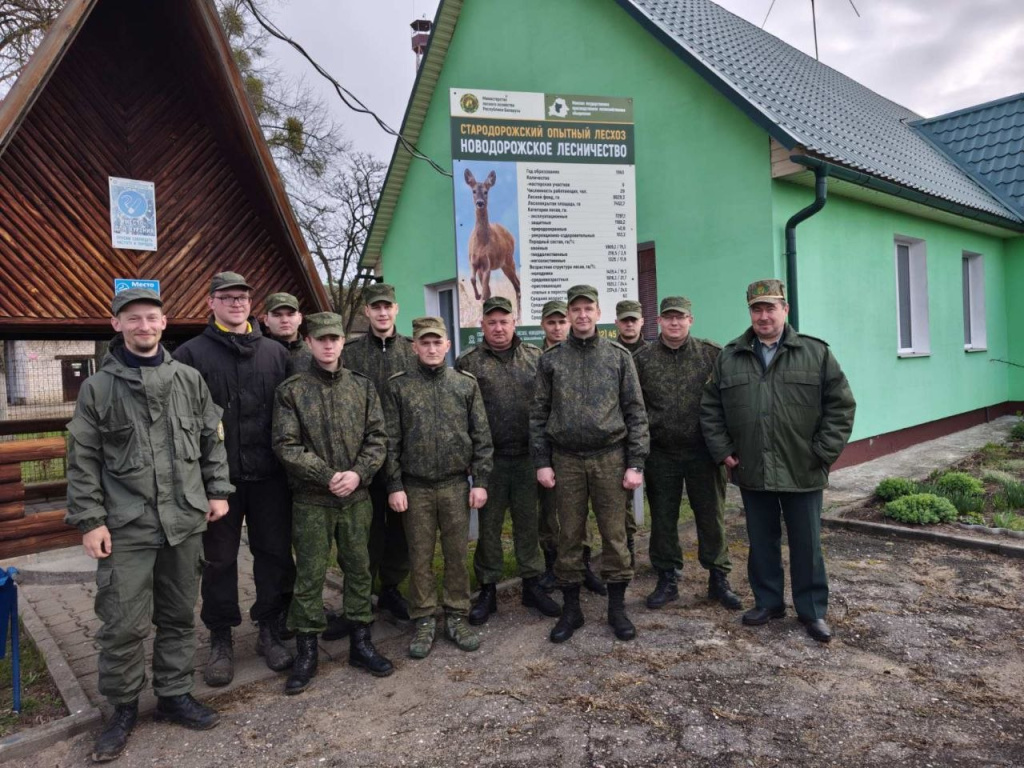 Порядок без границ: навели и в Минской области