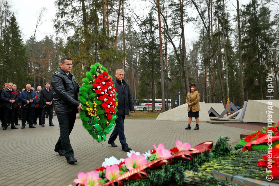 Про лес, молодежь и будущее — конструктивно. В Гомеле прошел республиканский семинар-совещание с молодыми лесоводами