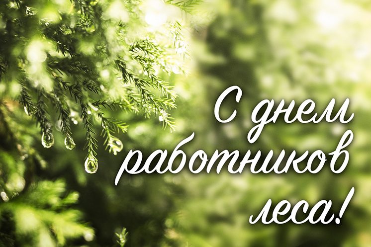 Поздравление директора РДЛУП "Гомельлеспроект" с Днём работников леса