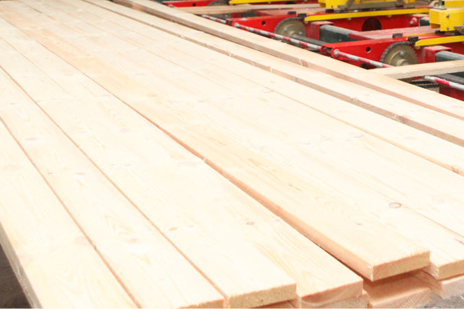 Проект указа по повышению эффективности реализации древесины направлен на рассмотрение Президенту