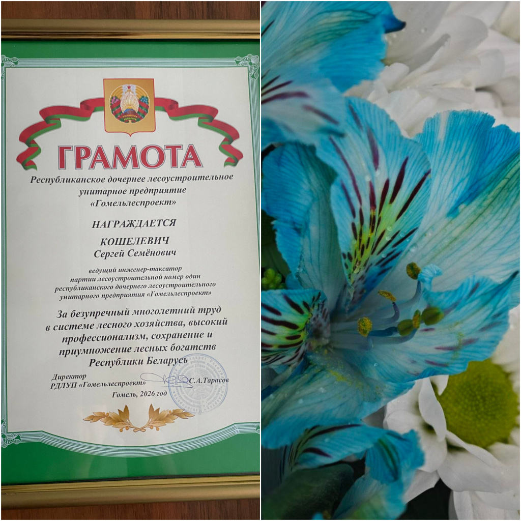 В Гомельлеспроекте сегодня проводили на заслуженный отдых ведущего инженера-таксатора Сергея Кошелевича.