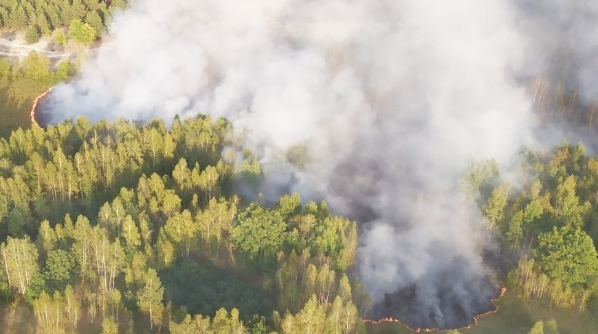 Лесной пожар в Хойникском районе ликвидировали с помощью авиации