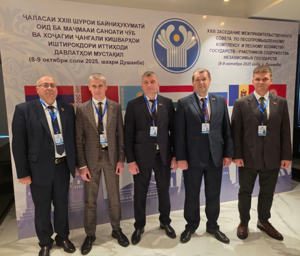 Международное сотрудничество