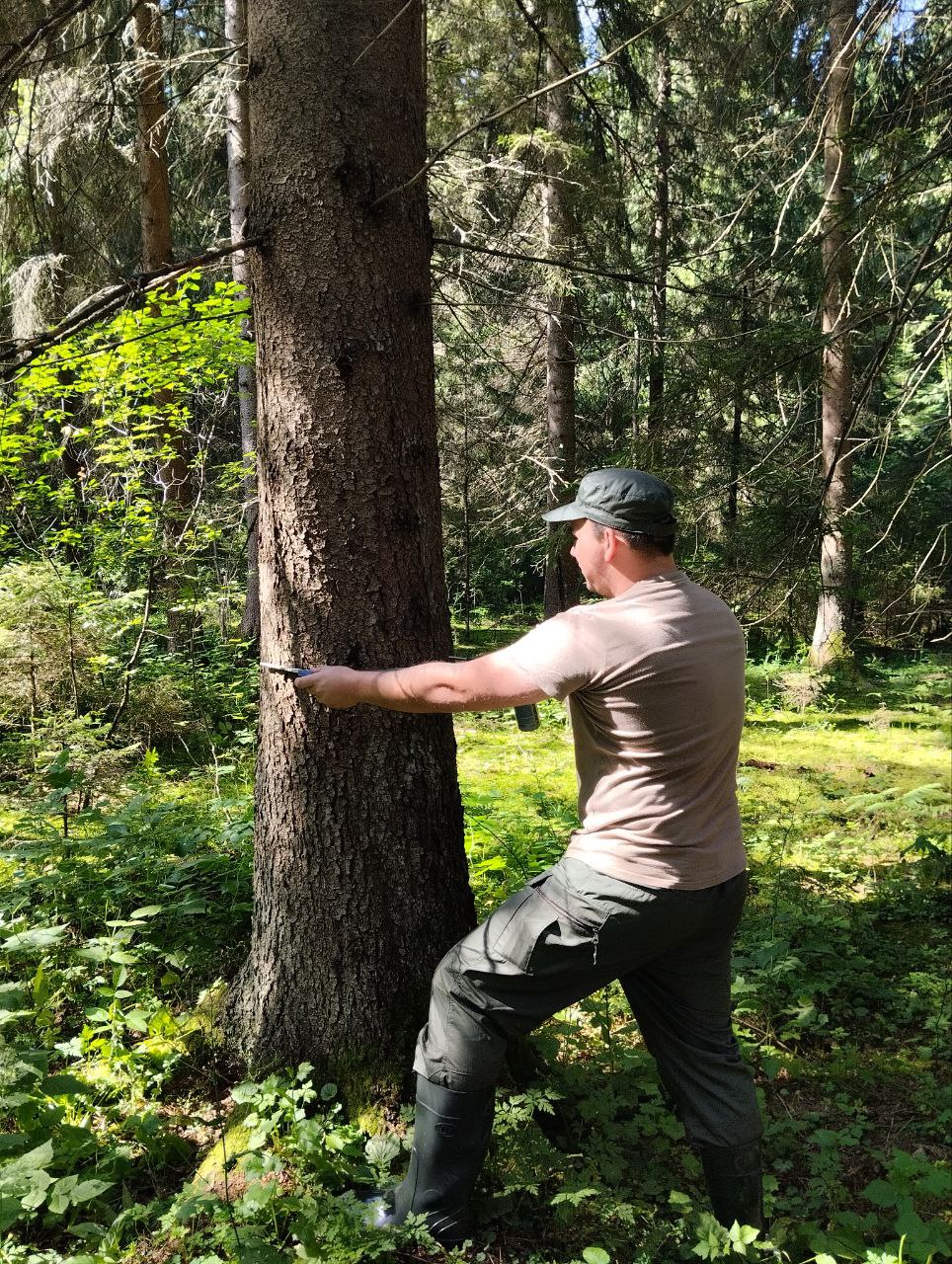 Стажировка молодого специалиста