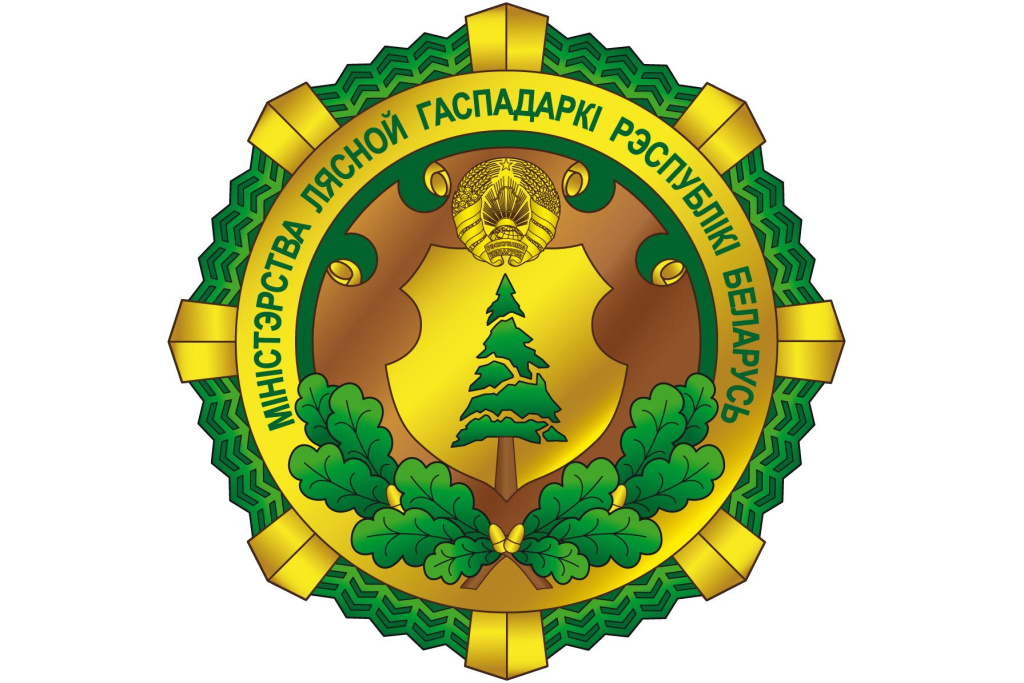 Сразу 2 личных приема граждан проведет на этой неделе министр лесного хозяйства