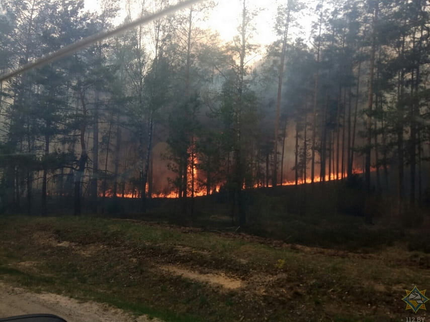 Гослесохрана Беларуси за неделю ликвидировала 16 пожаров