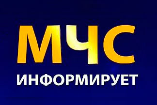 КАК НЕ ЗАБЛУДИТЬСЯ В ЛЕСУ
