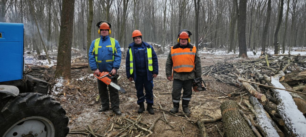Контроль за разработкой ветровально-буреломных лесосек 