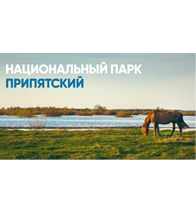 Экскурсия в сафари парк НП «Припятский»