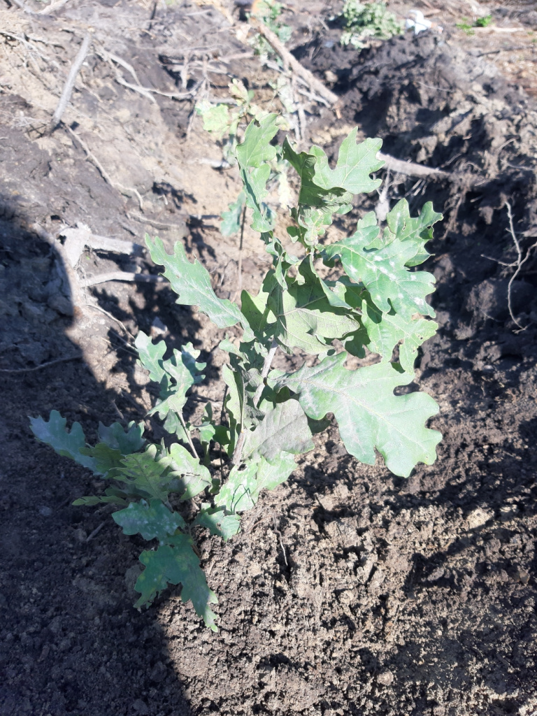 20241019_124628 (1).jpg