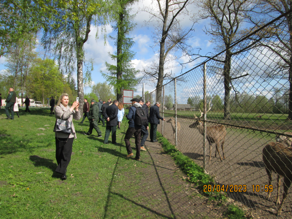 IMG_8387.JPG