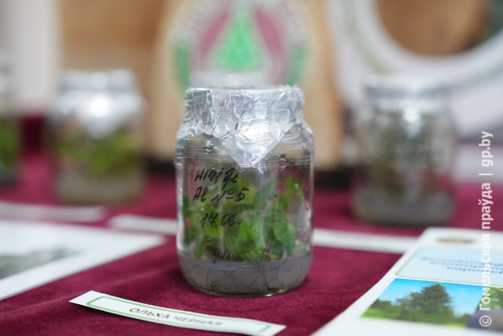 Институту леса НАН Беларуси исполнилось 95 лет-10.jpg