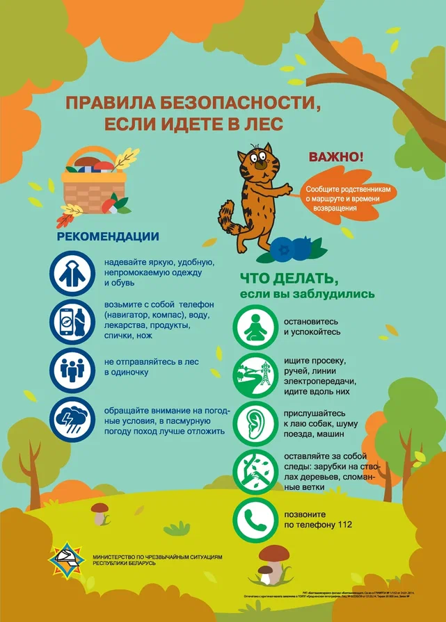 инфографика с котом - 0016.jpg инфографика с котом - 0016.jpg