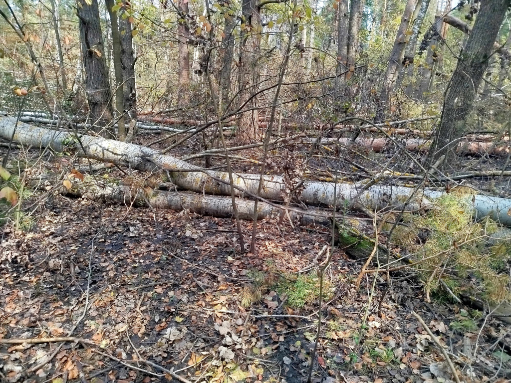 22IMG_20240822_130736.jpg