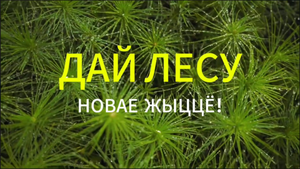 акция.png