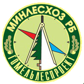 Логотип цветной.jpg