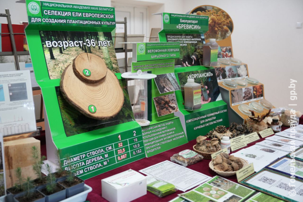 Институту леса НАН Беларуси исполнилось 95 лет-7.jpg