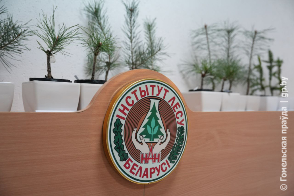 Институту леса НАН Беларуси исполнилось 95 лет-17.jpg
