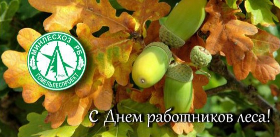 20260919_171756.jpg